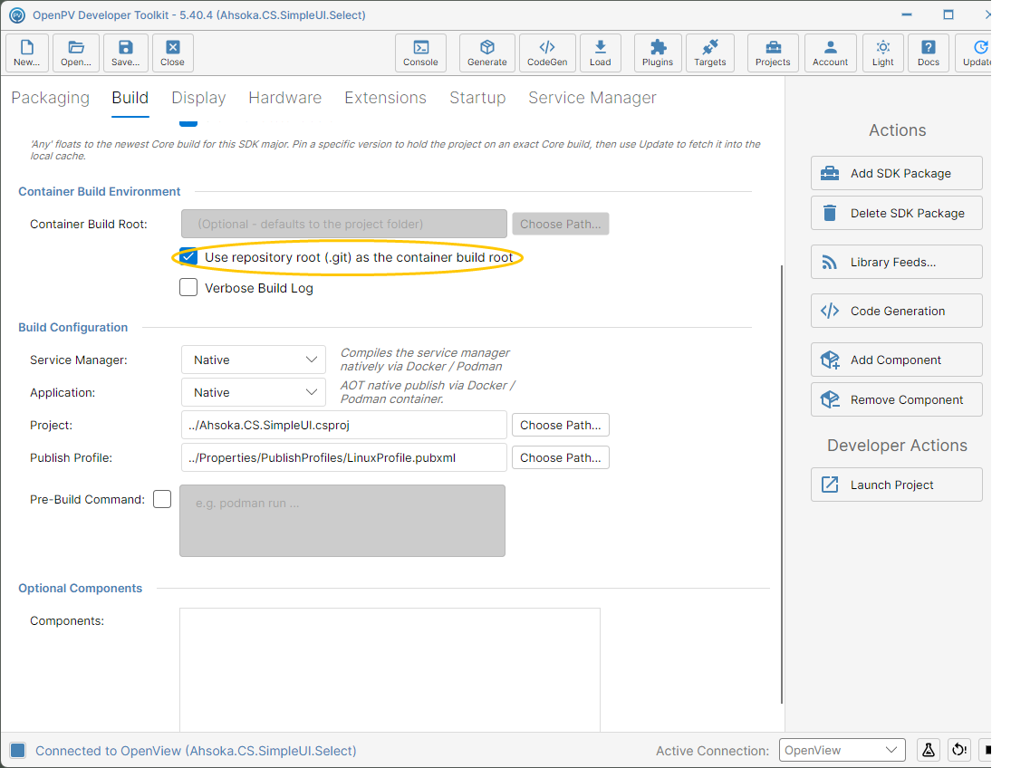 The Use repository root checkbox