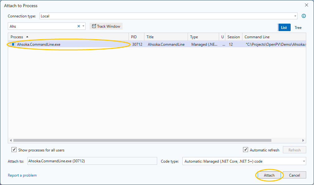 Attaching Visual Studio to Ahsoka.CommandLine.exe
